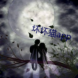 坏坏猫app （遗音馀韵）