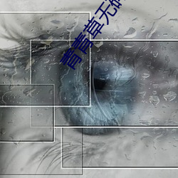 青青草无码伊人久久
