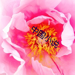 中国小说