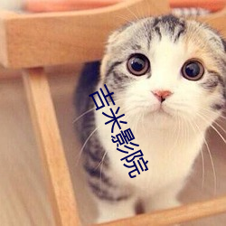 吉米影院