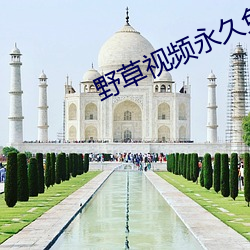 AG真人平台(中国)官方网站