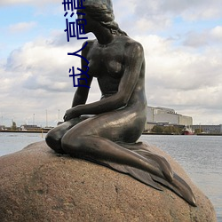 成人高清影院