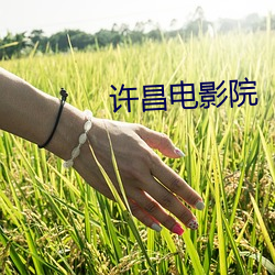 许昌(chāng)电影(yǐng)院