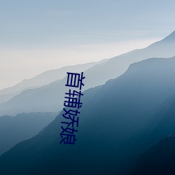 918博天堂·(中国)手机版客户端