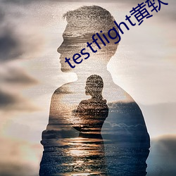 testflight黄软下载(載)