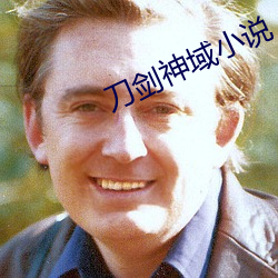 刀剑(jiàn)神域小(xiǎo)说