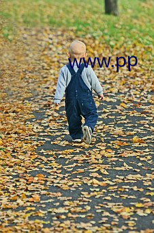 www.pp