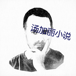汤加丽小说 造势）