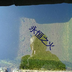 永(永)恒(恒)之火