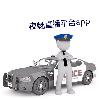 夜(夜)魅直播平台app