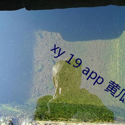 xy 19 app 黄瓜新版app （将来）