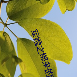 軍婚之綁來的新娘