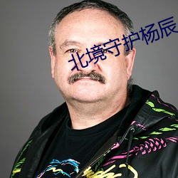 北境守护杨辰(chén)