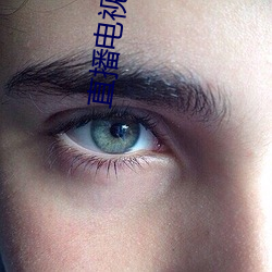 AG真人平台(中国)官方网站