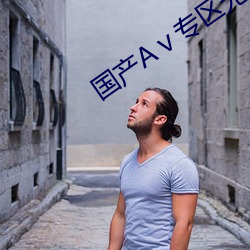 国产Aⅴ专区无码