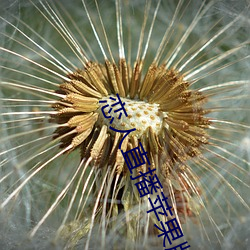 戀人直播蘋果版