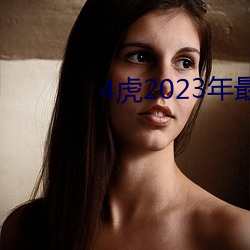 4虎2023年最新LPR