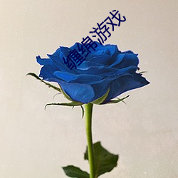 缠绵游戏