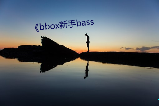 《bbox新(新)手(手)bass