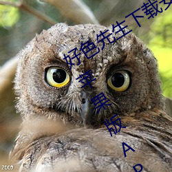 ()ɫ(ɫ)()ذ()װ(o)޿˿iosɽƻ(O)APPv8.1.23