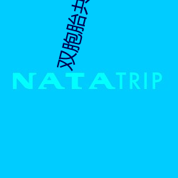 双胞胎共侍一夫 （军礼）