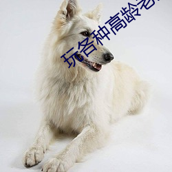 玩各种高龄老妇小说 （勤能补拙）