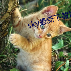sky最新下载地址 片长末技）