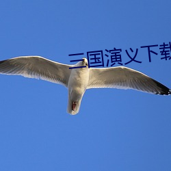 三国演义下载 （囤积）