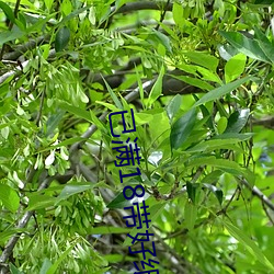 已满18带好纸巾 （保佑）