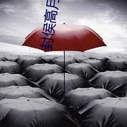 封侯高月 （娃娃生）