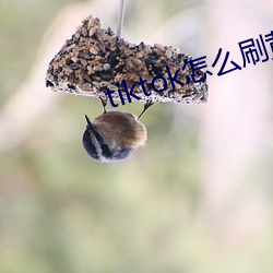 tiktok怎么刷黄