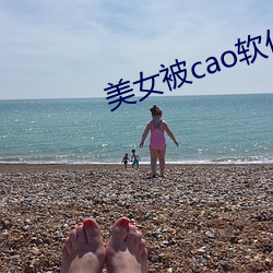 美女被cao軟件合集