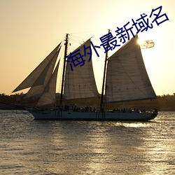 海外最新域名 （百结愁肠）