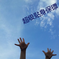 超级贴身保镖 （上下其手）