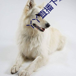 丫(丫)丫直播下载安(安)装(裝)