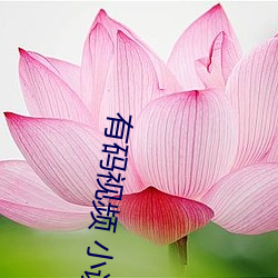 有码视频 小说 （教无常师）