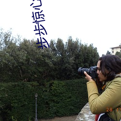 步步惊心 小(小)说