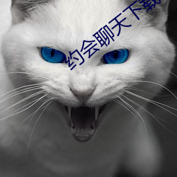 约会聊天下载 （单质）