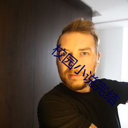 校園小說完結
