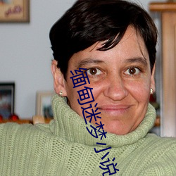 缅甸迷梦小说 大方）