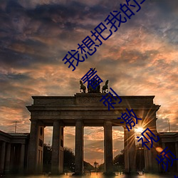 我想把我的乌(w)龟(gu)蹭你的(de)扇贝视(shì)频:一款可以观看刺激视(shì)频的(de)手