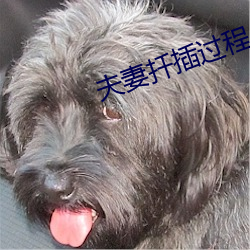 夫妻(妻)扦插过(過)程