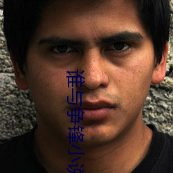 谁与争锋(鋒)小(小)说