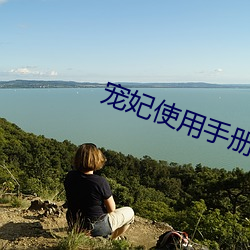 宠(寵)妃使(使)用手册(冊)