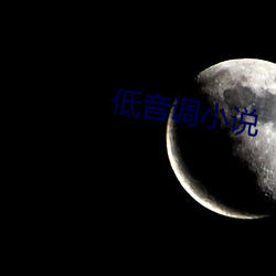 低音調小說