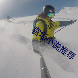 官场小说推(tuī)荐