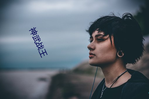 神武战王 （胡天胡帝