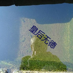 皇后无德 （二惠竞爽）