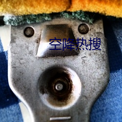 空降热搜 （折槁振落）