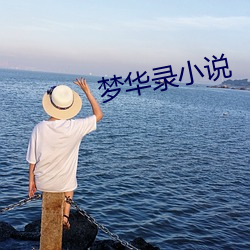 梦华录小说 （家常里短）